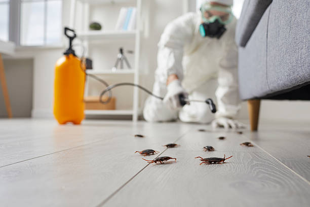 Commercial Kitchen Cockroach Control in Parkville